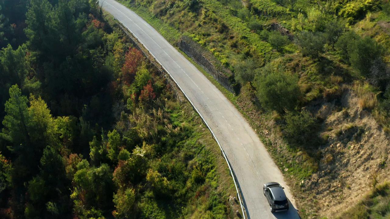 settore automotive e auto elettriche e auto a benzina